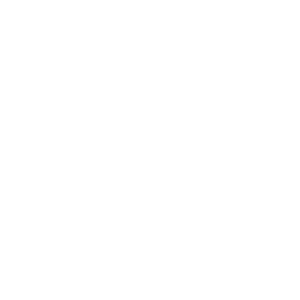 Logo satareus blanco